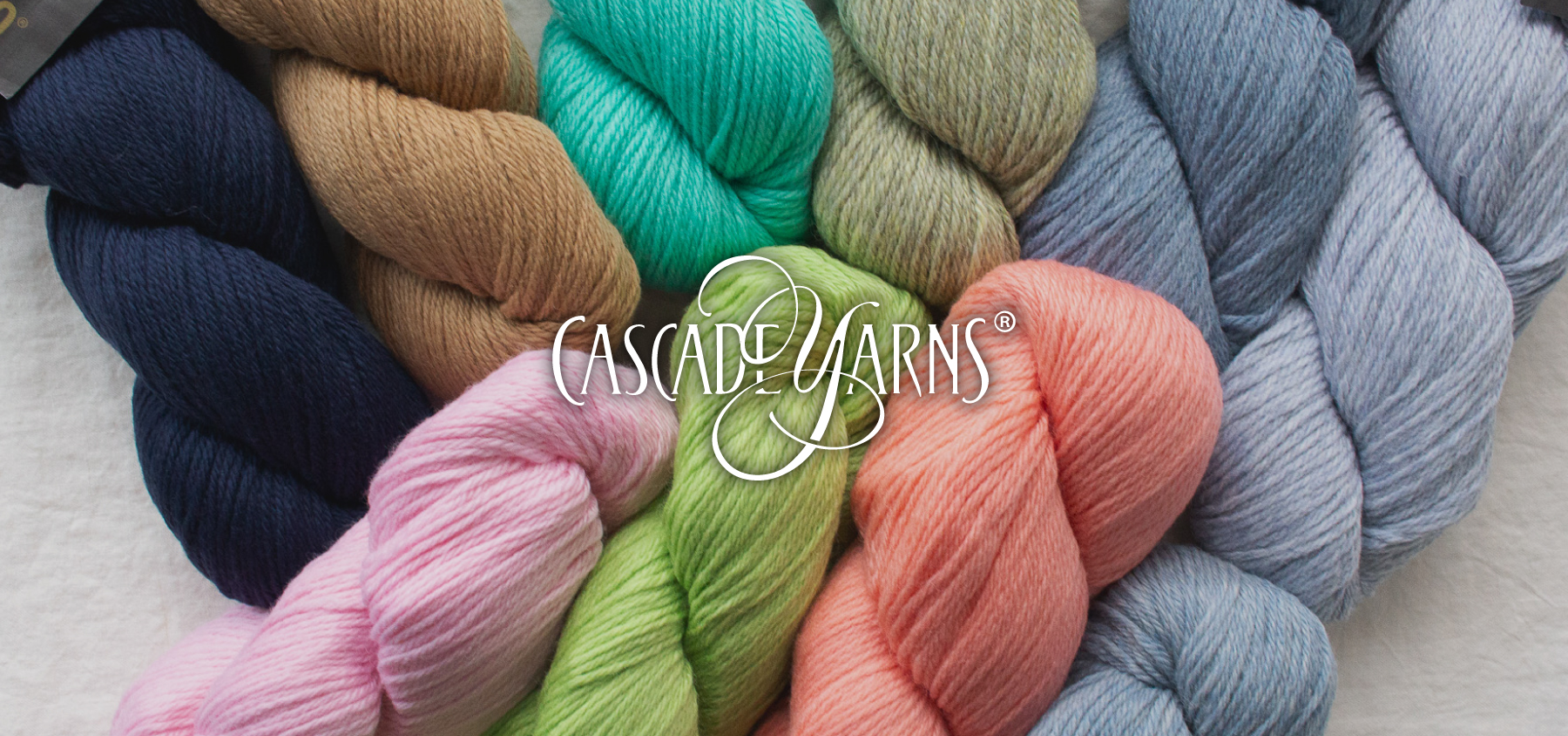 Cascade 220 新色入荷_PC